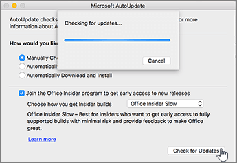 check for updates on ms office for mac